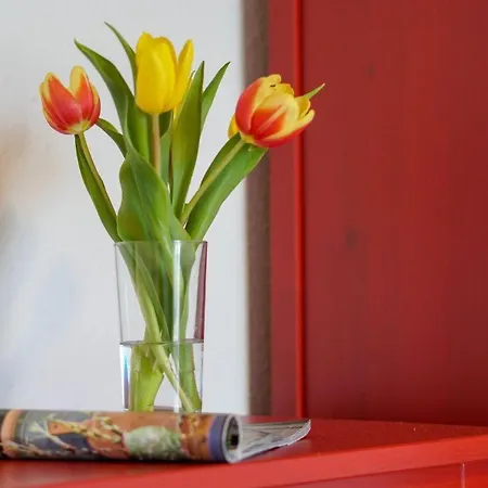 Ferienhaus-luv * Heiligenhafen