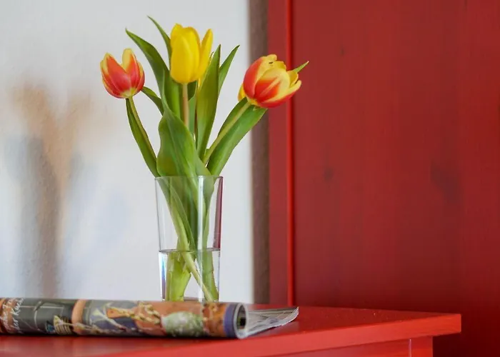 Ferienhaus-luv * Heiligenhafen